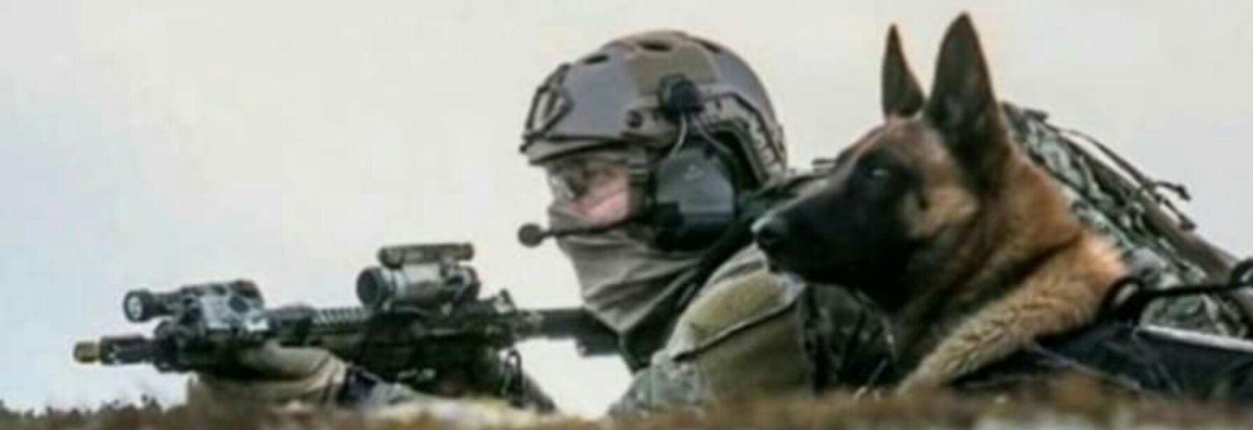 [PTS Security Solutions]